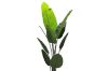 Picture of Artificial Potted Traveller Palm Plant - H210cm