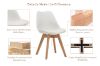 Picture of EFRON Dining Chair (Multiple Colours)