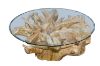 Picture of TAKARA D110 Tempered Glass Top Handcrafted Teak Root Coffee Table