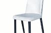 Picture of AINA Dining Chair (Cream White)