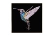 Picture of 357-012 Decorative Wall Art with Golden Frame (60x60cm) - Hummingbird
