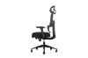 Picture of FLEXO Height Adjustable Office Chair with Adjustable Headrest & Backrest, Seat Slider (Dark)