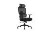 Picture of FLEXO Height Adjustable Office Chair with Adjustable Headrest & Backrest, Seat Slider (Dark)