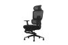 Picture of FLEXO Height Adjustable Office Chair with Adjustable Headrest & Backrest, Seat Slider (Dark)