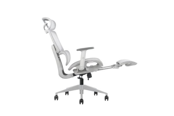 Picture of FLEXO Height Adjustable Mesh Seat Office Chair with Adjustable Headrest & Backrest, Seat Slider (Grey)