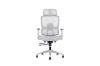 Picture of FLEXO Height Adjustable Mesh Seat Office Chair with Adjustable Headrest & Backrest, Seat Slider (Grey)