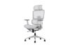 Picture of FLEXO Height Adjustable Mesh Seat Office Chair with Adjustable Headrest & Backrest, Seat Slider (Grey)