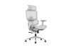 Picture of FLEXO Height Adjustable Mesh Seat Office Chair with Adjustable Headrest & Backrest, Seat Slider (Grey)