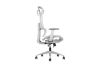 Picture of FLEXO Height Adjustable Mesh Seat Office Chair with Adjustable Headrest & Backrest, Seat Slider (Grey)