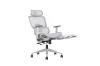 Picture of FLEXO Height Adjustable Mesh Seat Office Chair with Adjustable Headrest & Backrest, Seat Slider (Grey)