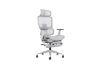 Picture of FLEXO Height Adjustable Mesh Seat Office Chair with Adjustable Headrest & Backrest, Seat Slider (Grey)