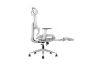 Picture of FLEXO Height Adjustable Mesh Seat Office Chair with Adjustable Headrest & Backrest, Seat Slider (Grey)