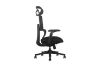 Picture of FLEXO Pro Height Adjustable Mesh Office Chair with Adjustable Headrest & Backrest, 5D Armrests and Seat Slider (Dark)