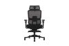 Picture of FLEXO Pro Height Adjustable Mesh Office Chair with Adjustable Headrest & Backrest, 5D Armrests and Seat Slider (Dark)