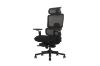 Picture of FLEXO Pro Height Adjustable Mesh Office Chair with Adjustable Headrest & Backrest, 5D Armrests and Seat Slider (Dark)