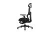 Picture of FLEXO Pro Height Adjustable Mesh Office Chair with Adjustable Headrest & Backrest, 5D Armrests and Seat Slider (Dark)