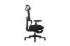 Picture of FLEXO Pro Height Adjustable Mesh Office Chair with Footrest (Dark)