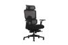 Picture of FLEXO Pro Height Adjustable Mesh Office Chair with Footrest (Dark)