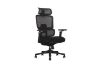 Picture of FLEXO Pro Height Adjustable Mesh Office Chair (Dark)
