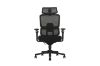 Picture of FLEXO Pro Height Adjustable Mesh Office Chair (Dark)