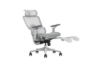 Picture of FLEXO Pro Height Adjustable Mesh Office Chair with Adjustable Headrest & Backrest, 5D Armrests and Seat Slider (Grey)