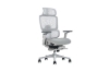 Picture of FLEXO Pro Height Adjustable Mesh Office Chair with Adjustable Headrest & Backrest, 5D Armrests and Seat Slider (Grey)