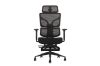 Picture of NEXEN High Back Office Chair with Adjustable Headrest, Lumbar Support, 3D Armrests and Seat Slider