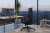 Picture of FLEXO Pro Height Adjustable Mesh Office Chair with Adjustable Headrest & Backrest, 5D Armrests and Seat Slider (Dark)